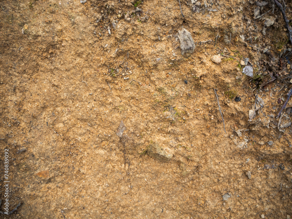 imagen detalle textura suelo de tierra con algunas piedras de distintos tamaós y formas imagen detalle textura suelo de tierra con algunas piedras de distintos tamaós y formas