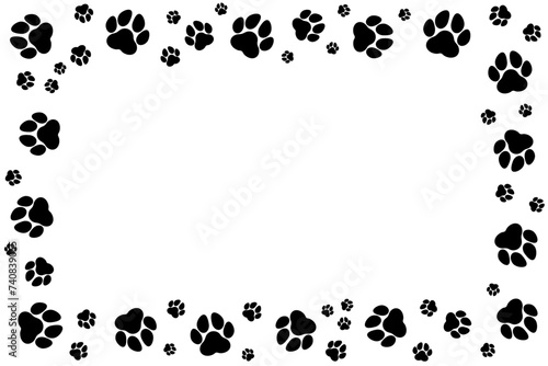 frame of paw of animals