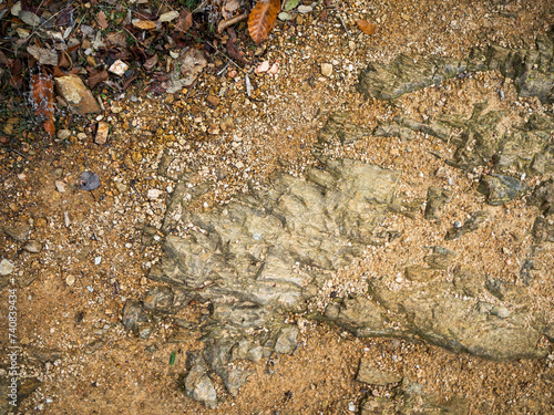 imagen detalle textura suelo de tierra con piedras enterradas