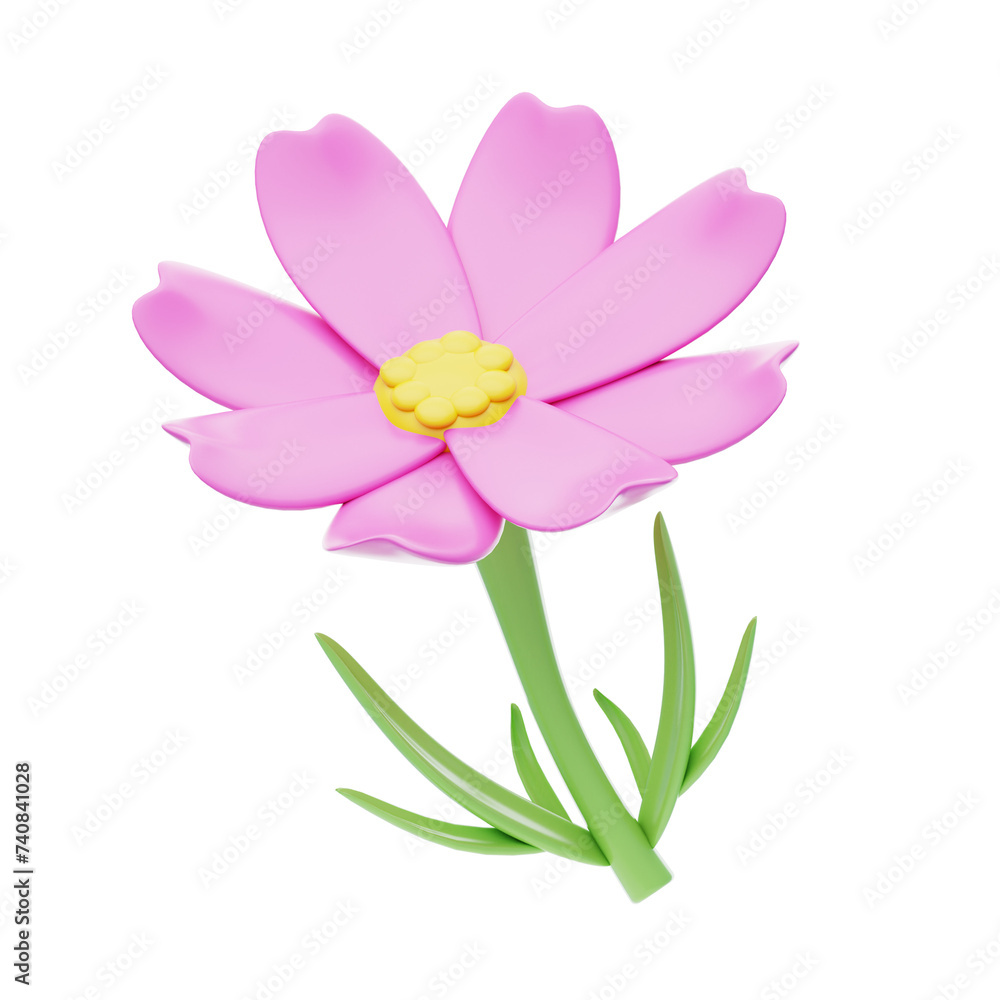 Fototapeta premium 3D Cosmos Cute Delicate Floral Grace. 3d illustration, 3d element, 3d rendering. 3d visualization isolated on a transparent background