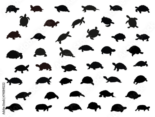 Tortoise silhouette vector art white background