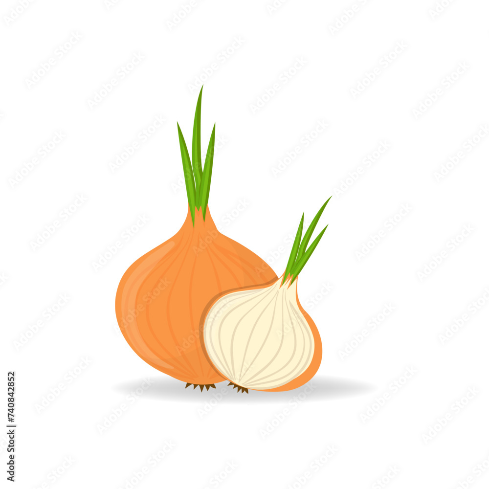 Onion. Whole onion and cut onion. Flat simple design. Vector illustration of organic farm fresh vegetables