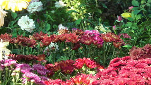 In a flower shop with various flowers