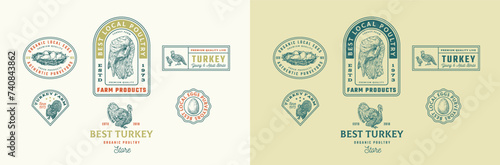 Turkey Frame Badges Logo Templates Collection. Hand Drawn Domestic Birds Farm Sketches with Retro Typography. Vintage Engraving Emblems Design Set Isolated