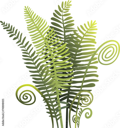 Wild bracken fern composition for natural botanical design. Green fern leaves, plant from woods on white background isolated nature elements. Vector clip art illustration in watercolor style.