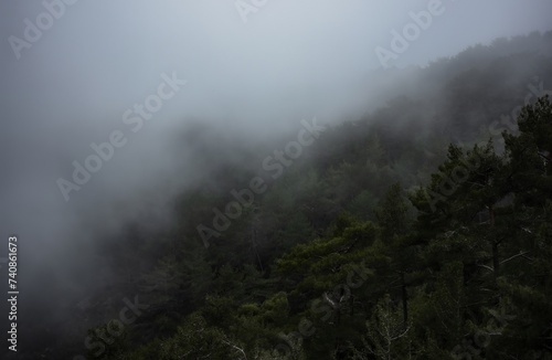 fog in the mountains © mrintheory