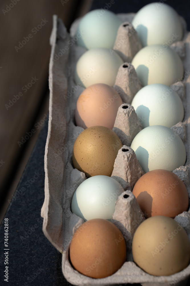 close up of colored eggs in egg carton brown and blue assorted colorful eggs close up food health nutrition vertical room for type healthy nutritious food cardboard paper egg carton round oval shape close up of colored eggs in egg carton brown and blue assorted colorful eggs close up food health nutrition vertical room for type healthy nutritious food cardboard paper egg carton round oval shape