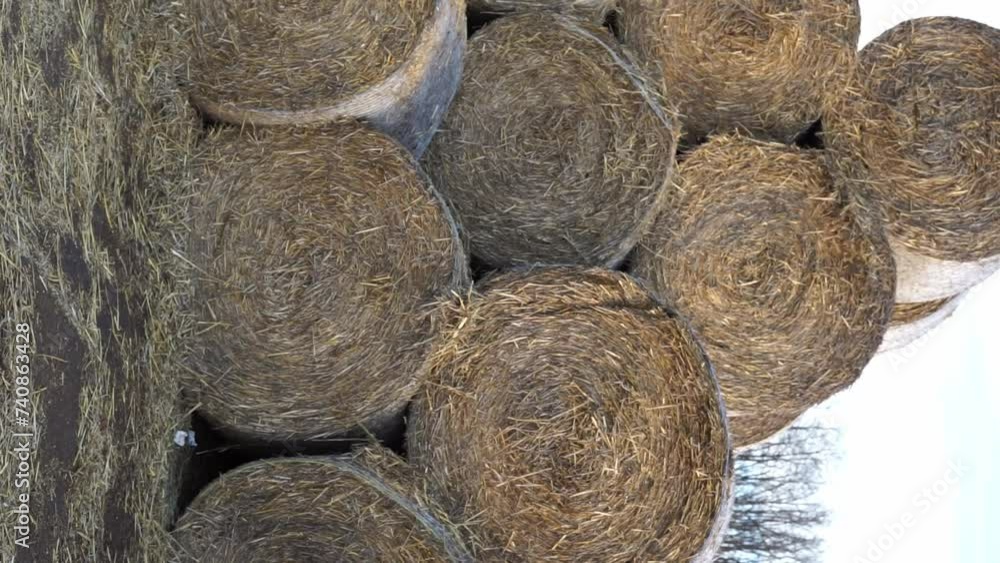 haystack on the field vertical video haystack on the field vertical video