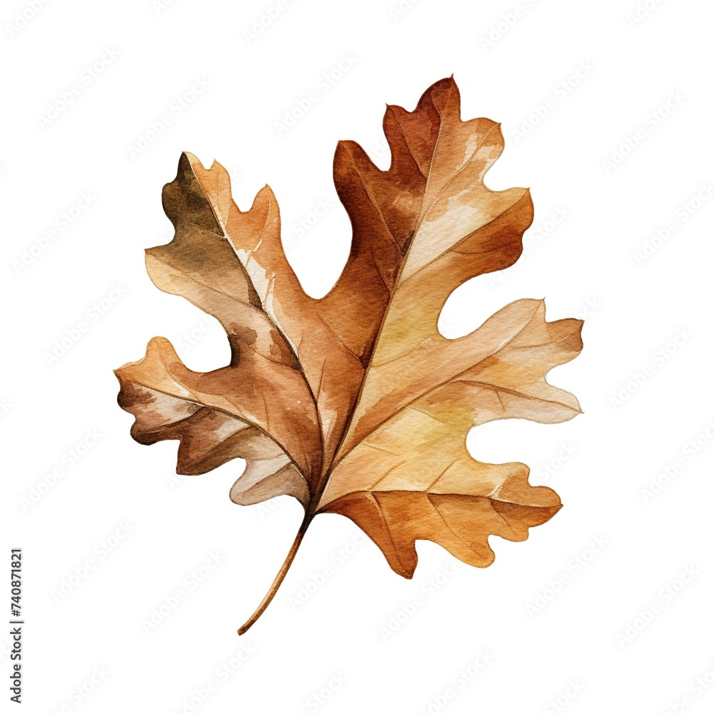Fototapeta premium Exquisite watercolor illustration of an autumnal oak leaf in warm golden-brown hues, evoking the serene beauty of the changing seasons