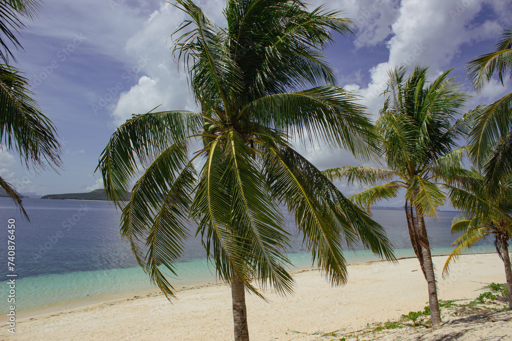 Amazing tropical beach with big palm trees in Black Island