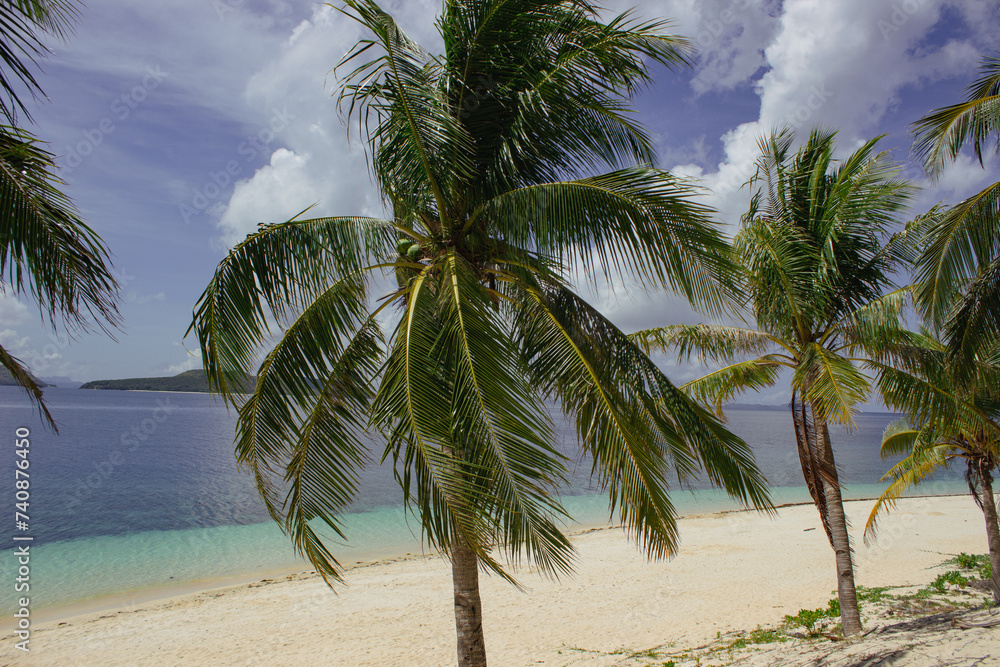 Amazing tropical beach with big palm trees in Black Island Amazing tropical beach with big palm trees in Black Island