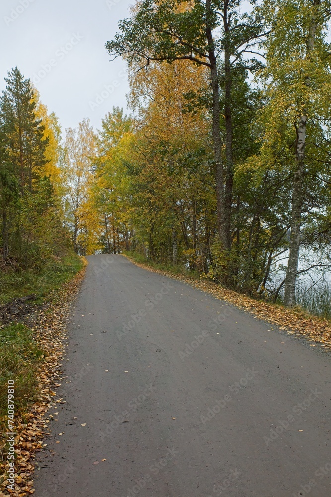 Gravel road with leaves on the ground in cloudy autumn weather.
