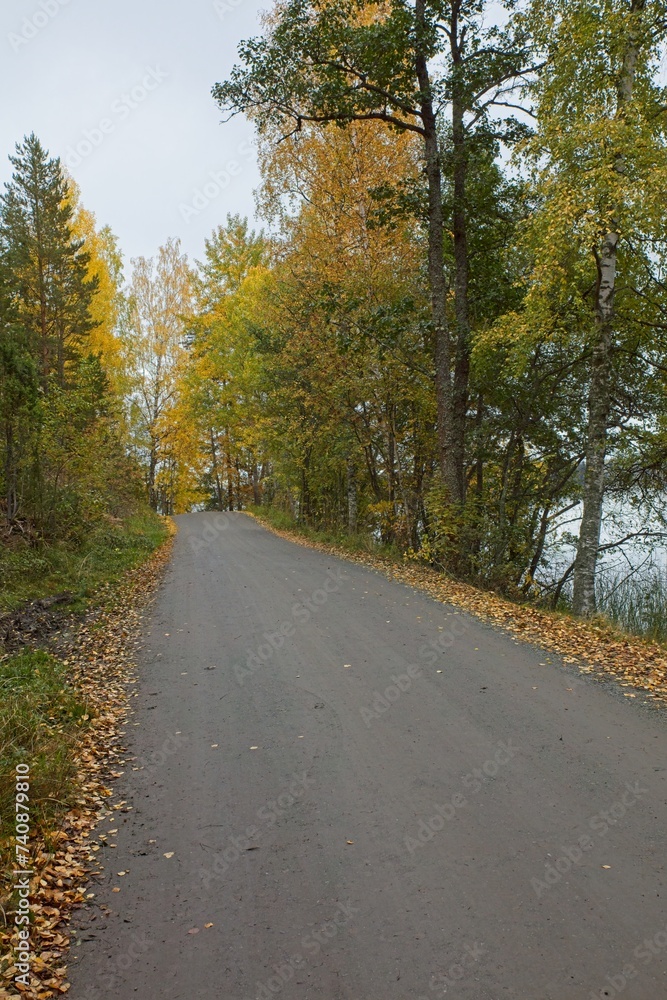Gravel road with leaves on the ground in cloudy autumn weather. Gravel road with leaves on the ground in cloudy autumn weather.