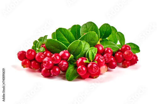 Lingonberry with leaves, isolated on white background