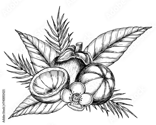 Mangosteen with palm leaves and flowers. Vector hand drawn illustration of exotic tropical Fruit painted by black inks. Drawing of asian food with garcinia and juicy slices. Sketch of mangostana. photo