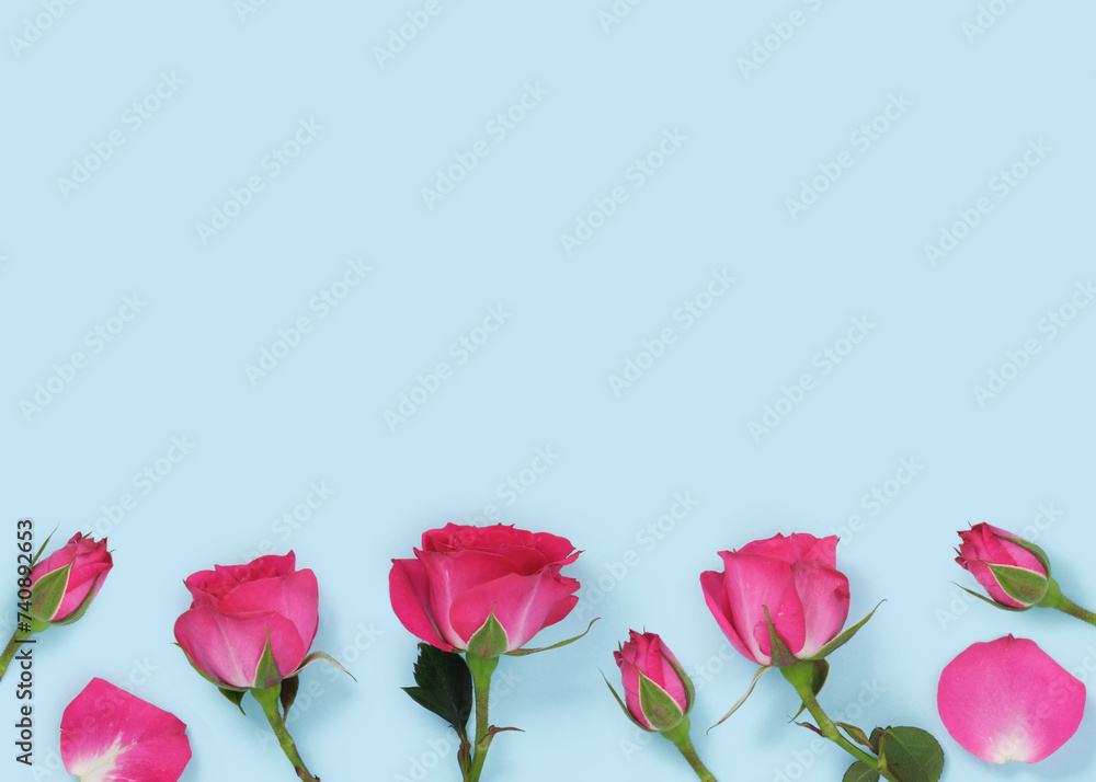 Fototapeta premium Banner with pink roses on light blue background. Place for your text.