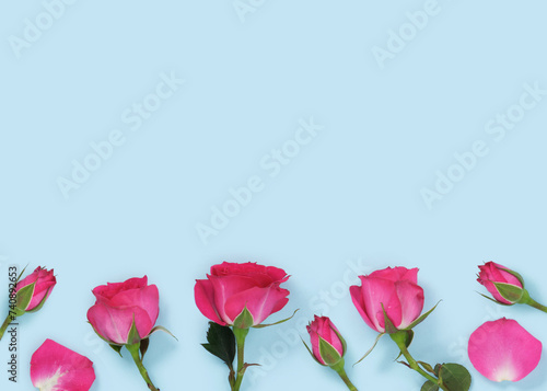 Banner with pink roses on light blue background. Place for your text.