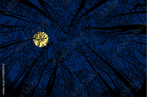 Vektor Darstellung - Vollmond - Knorrige Bäume und Äste im Wald mit Blick zum dunkelblauen Himmel - Mond Mystik