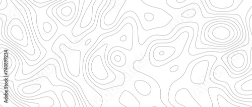white and gray topographic line contour map background