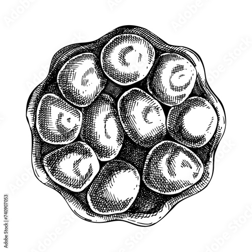 French dessert,  tart with caramelized apples vintage drawing. Traditional food from France sketch. French restaurant menu design. Hand-drawn vectror illustration, NOT AI generated