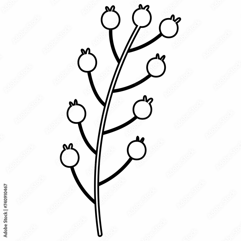 Plant leaves tree doodle decoration design. Plant leaves tree doodle decoration design.