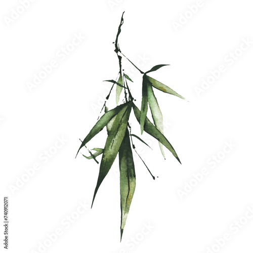 Watercolor green bamboo branch with leaves. Exotic greenery twig. Clipart watercolour illustration.