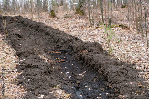 an excavated moat in the forest among the trees