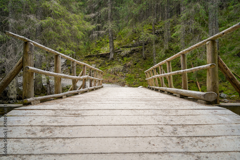 Morskie Oko trail , hike in the Tatras mountains , old wooden bridge over the river Morskie Oko trail , hike in the Tatras mountains , old wooden bridge over the river