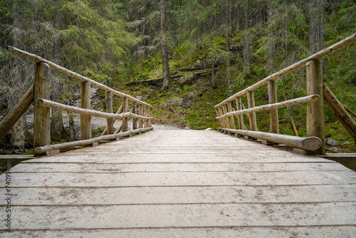 Morskie Oko trail , hike in the Tatras mountains , old wooden bridge over the river