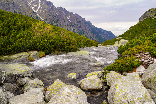 Fototapeta Naklejka Na Ścianę i Meble -  Morskie Oko trail , hike in the Tatras mountains , riverbed