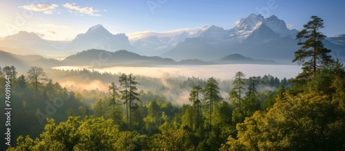 The natural landscape features a forest in the foreground with mountains in the background, under a sky with clouds. Trees and grass decorate the landscape, creating a tranquil horizon