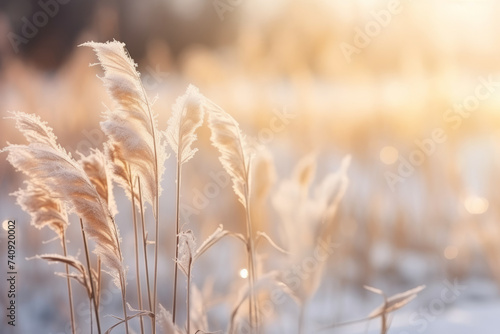 Winter atmospheric landscape with frost-covered dry plants during snowfall. Winter Christmas background. Generative Ai