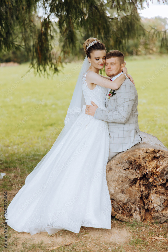 A young bride and groom tenderly embrace in the rays of the autumn sun. Tender and beautiful young girl bride. A man kisses his beloved. Against the background of a beautiful garden