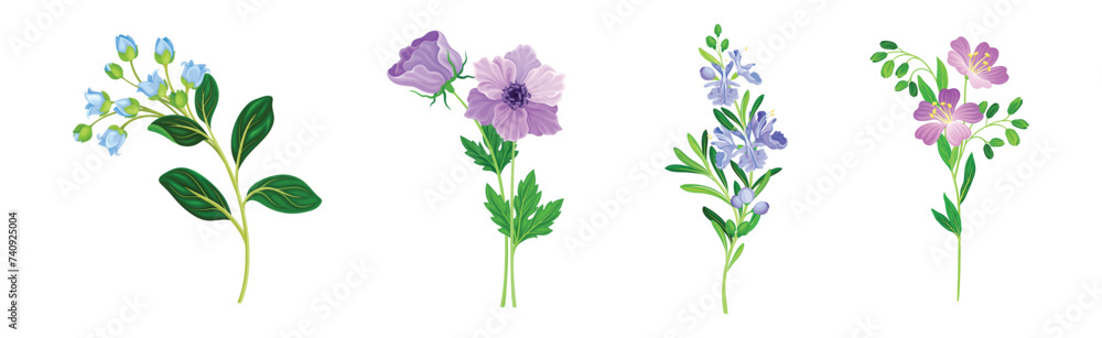 Purple Flowers on Green Stem as Meadow or Field Plant Vector Set - obrazy, fototapety, plakaty 