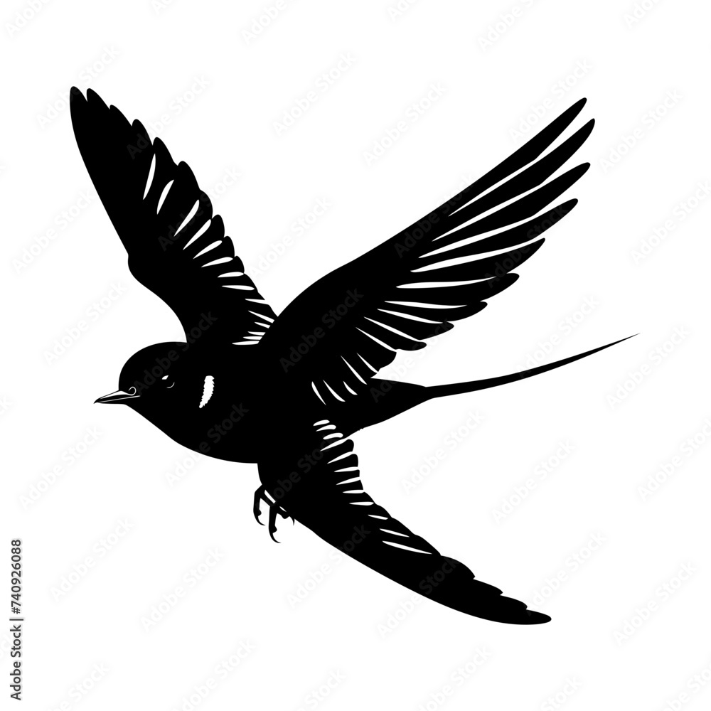 Obraz premium Silhouette swallow bird flaying black color only full body