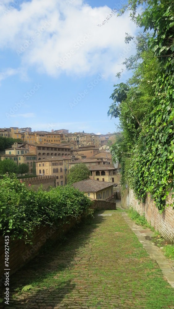 Hermosa callecita en Siena