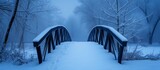 Majestic bridge covered in snow during winter with scenic view of nature and peaceful atmosphere