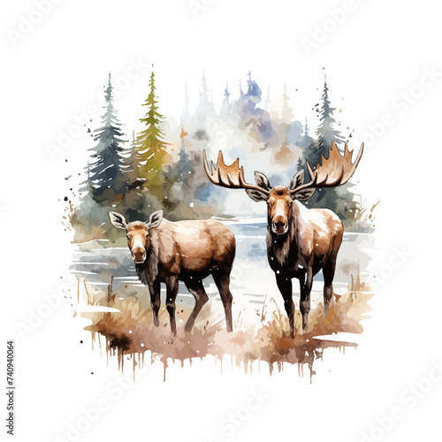 Watercolor moose clipart for graphic resources © Влада Яковенко