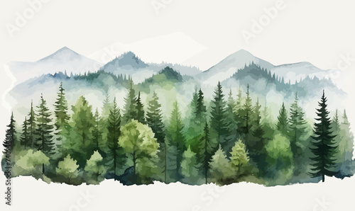 Forrest landscape with grass, nature inspired eco vector illustration