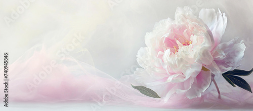 Panel kuchenny z motywem Piękny kwiat piwonii, wzór kwiatowy, białe tło, puste miejsce 
