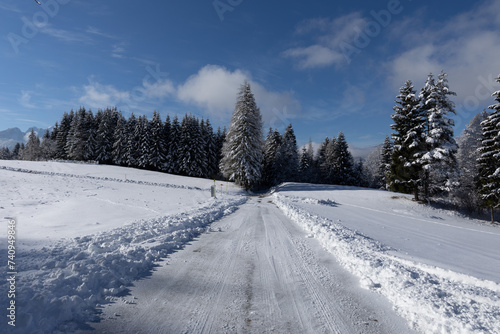 bellissima e ampia visuale panoramica su di un ambiente naturale di montagna lungo un leggero pendio completamente innevato ed illuminato dalla luce del sole in inverno, sotto un cielo sereno photo