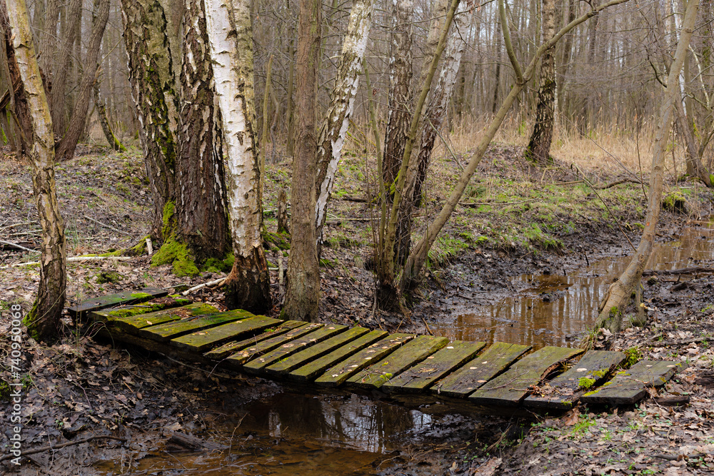 Drewniana kładka mostek na leśnym strumieniu - obrazy, fototapety, plakaty 