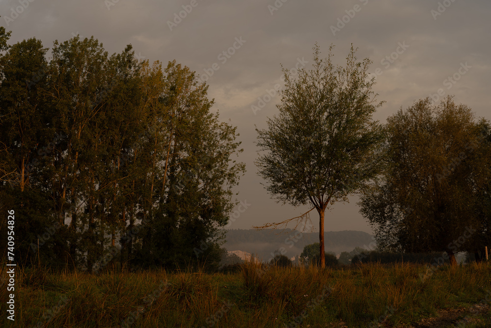 Fototapeta premium Paysage a l'aube