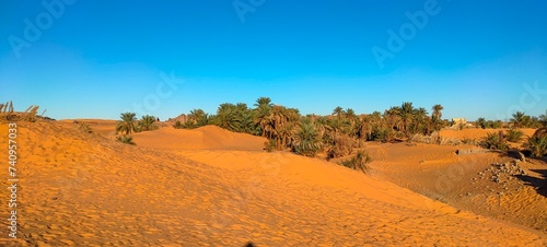 A sweeping panorama captures the oasis nestled in the midst of fine sandy desert  with agricultural fields stretching at the base of palm trees beneath a partly cloudy blue sky in Timimoun  Algeria.