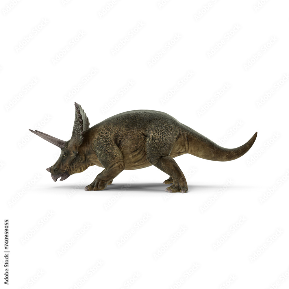 Triceratops PNG