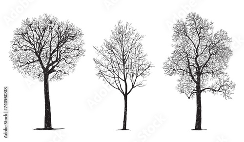 Hand drawings of silhouettes different bare deciduous trees in cold season, black and white vector illustration isolated on white