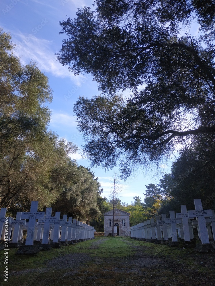 cemetery in the woods