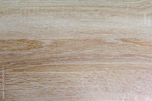 Wood texture. Wood texture for design and decoration.