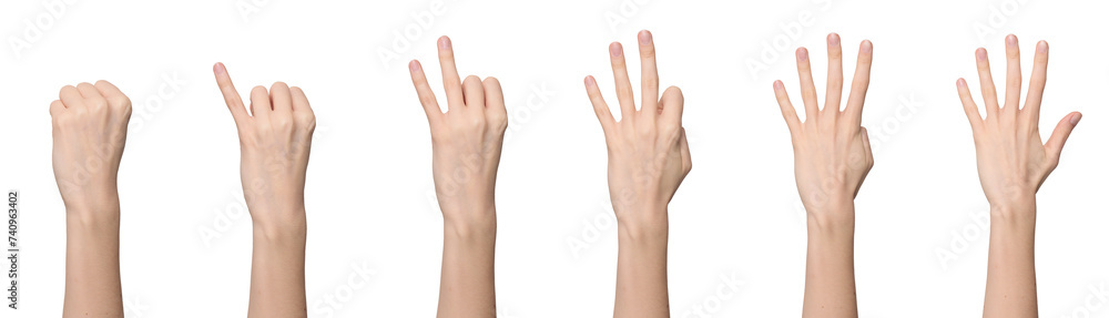 Woman's hand counting from zero to five, with back of the hand facing us, isolated on transparent background, png file Woman's hand counting from zero to five, with back of the hand facing us, isolated on transparent background, png file