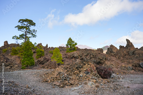Specific landscapes from El Teide National Park Tenerife Canary Islands Spain